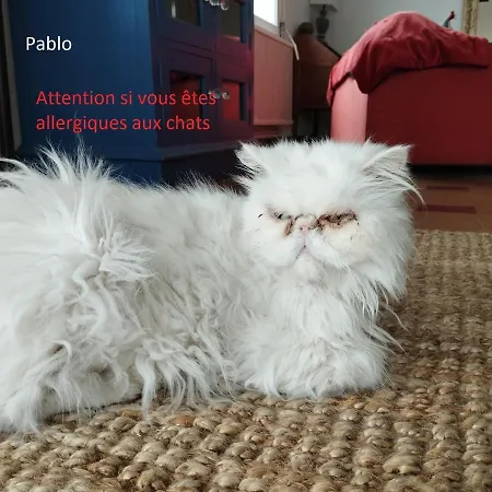 Saint-germain 생죠지드디돈느