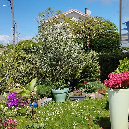 住宿加早餐酒店 Saint-germain